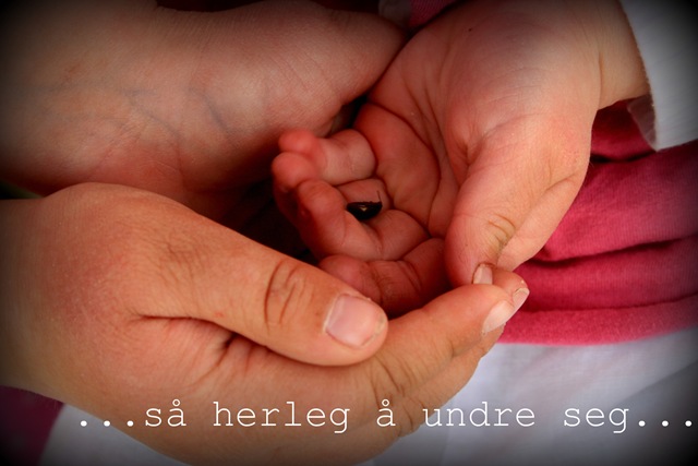 [Sina 3år4[4].jpg]