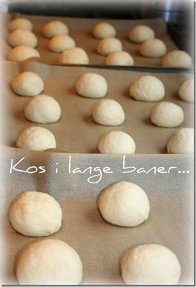 marihøne1