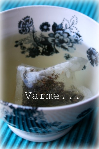[vinterinteriør11[3].jpg]