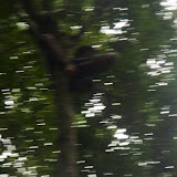 P7230147_800x600.jpg