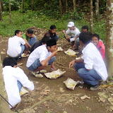 P7230157_800x600.jpg