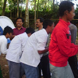 P7230175_800x600.jpg