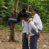 P7230150_800x600.jpg