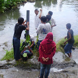 P7230140_800x600.jpg