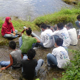 P7230126_800x600.jpg