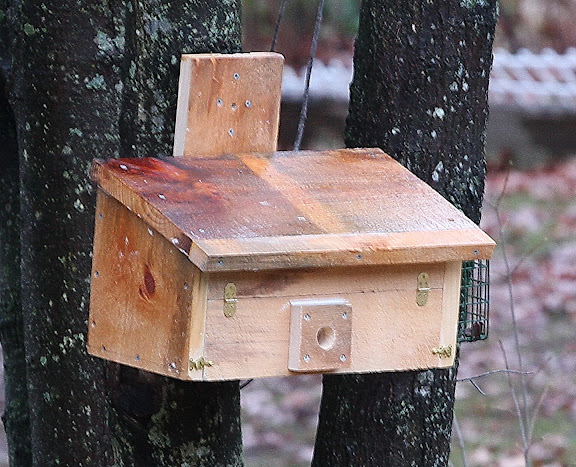 IMAGE: http://lh5.ggpht.com/_RSDQDKPui5k/SxFNQjsZSpI/AAAAAAAAHVE/4IqNVFQEdUU/s576/IMG_3982_A.jpg