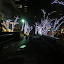 P1020110.JPG