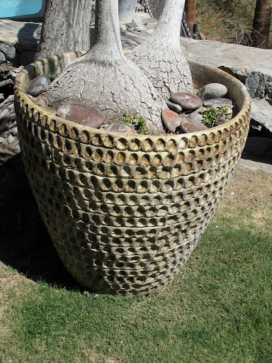 The owners of the house have a great collection of pots and planters.