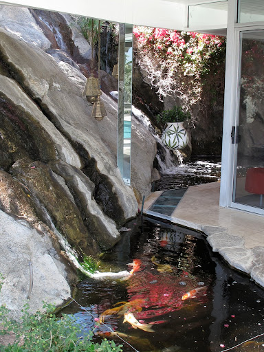 A koi pond on the edge of the house