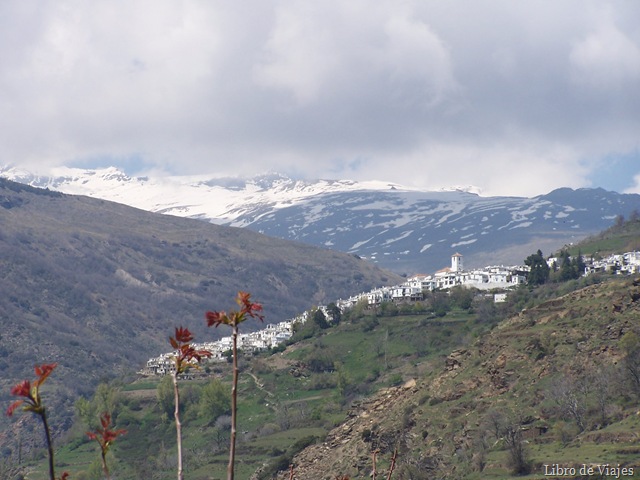 [Bubión. Al fondo Sierra Nevada[11].jpg]