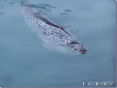 Acuario de A Coruña
