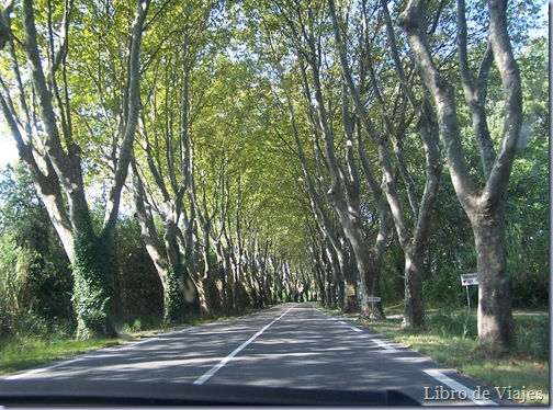 Carretera para llegar a Saint Rèmy en Provence Carretera para llegar a Saint Rèmy en Provence