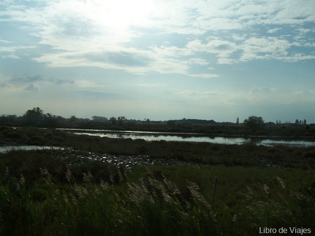 [Marismas del Parque Nacional de Le Camargue al Sur de la Provenza, cerca de Arles[5].jpg]
