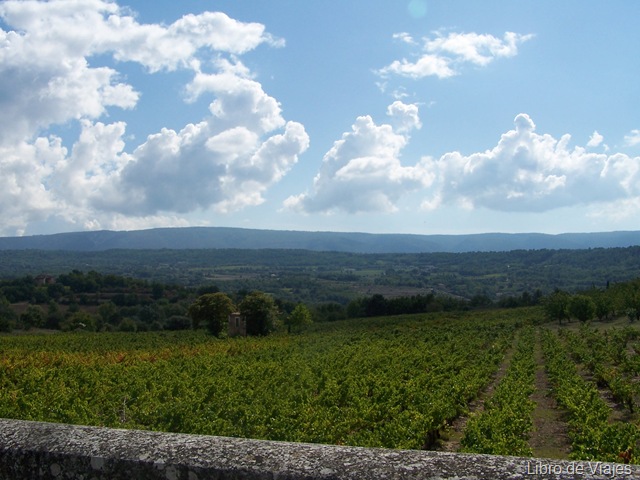 [Campos de Provenza - Viñedos[5].jpg]