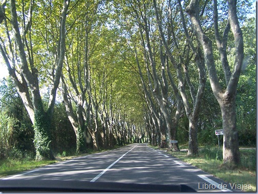 Carretera para llegar a Saint Rèmy en Provence