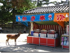 09Japan-Nara 042