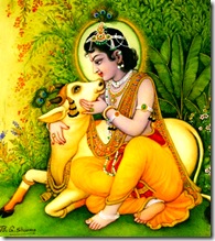 Lord Krishna and cow