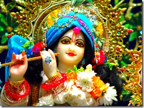 Lord Krishna deity