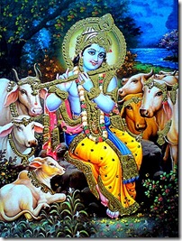 Lord Krishna - Shyamasundara