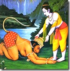 Hanuman serving the lotus of Lord Rama