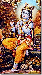 Krishna in Vrindavana