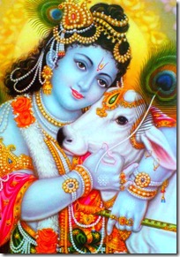 Lord Krishna with cow