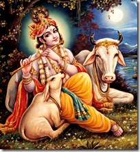 Lord Krishna with cows