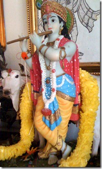 Krishna deity