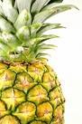 [pinapple[2].jpg]