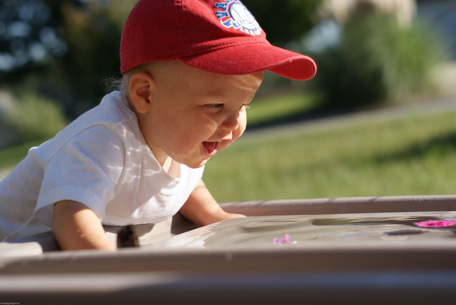 [20091003234.jpg]