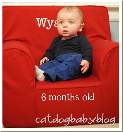 2011-01-07 Wyatt 6 months 2011-01-07 Wyatt 6 months