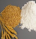 Wheat_Flour_d Wheat_Flour_d