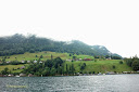 Water, trees, the green slope and fog right next to Lake Lucerne - Thumbnail