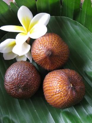 Salak Bali Salak Bali