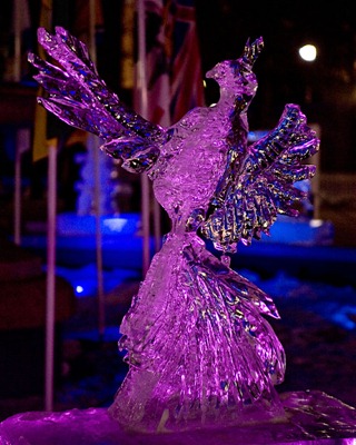 DSC_0776_ice