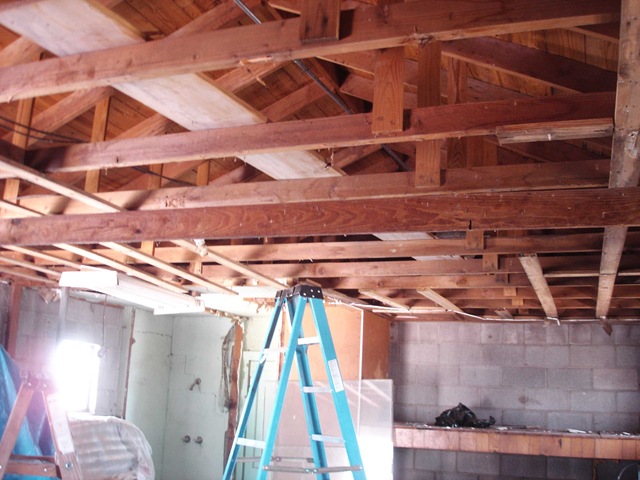 [rafters[2].jpg]