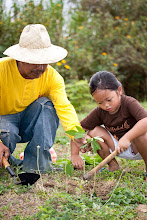 Tree Planting