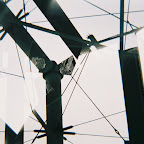 04-R1-17A.jpg
