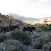 Horseback Ride / _MG_8535.JPG