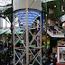LA and Disneyland / universal studios.jpg