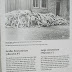 Dachau / 100_1138.JPG