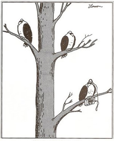 [birds_of_prey[10].jpg]