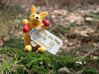 IMG_1158.JPG Photo