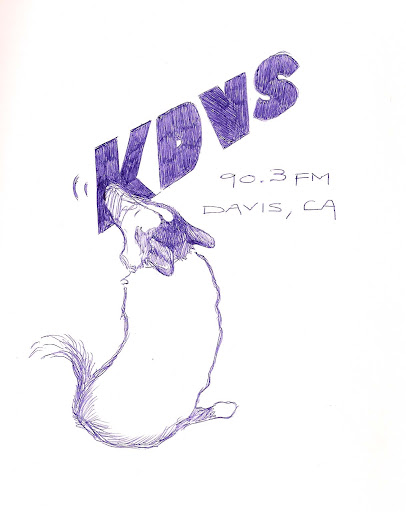 button design for KDVS 90.3 FM,