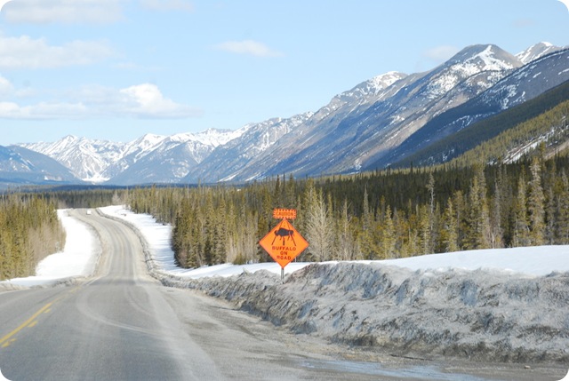 04-19-09 Alaskan Highway - BC 193