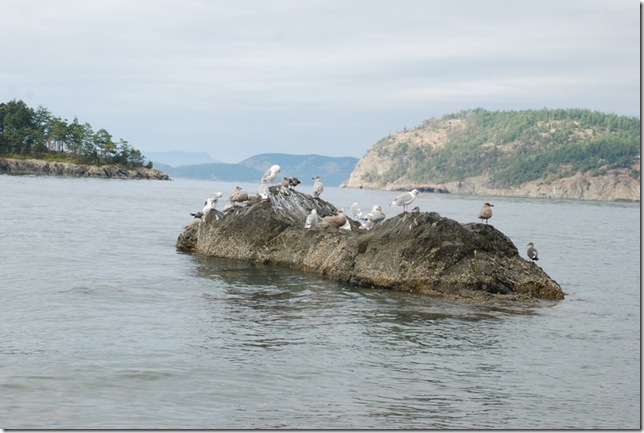 10-06-09 D Deception Pass St Park (11)