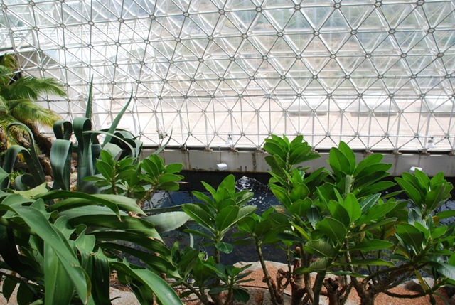 [10-25-10 Biosphere 2 034[3].jpg]