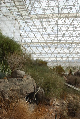 [10-25-10 Biosphere 2 054[3].jpg]