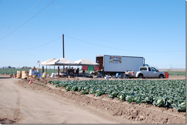 01-12-11 Yuma 012 01-12-11 Yuma 012