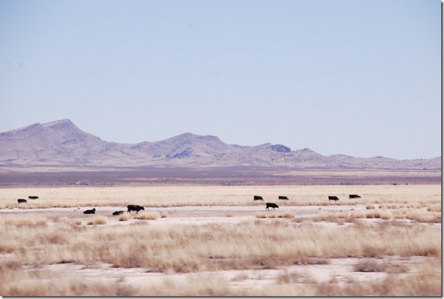 02-25-11 XTravel I-10 Across New Mexico 025 02-25-11 XTravel I-10 Across New Mexico 025